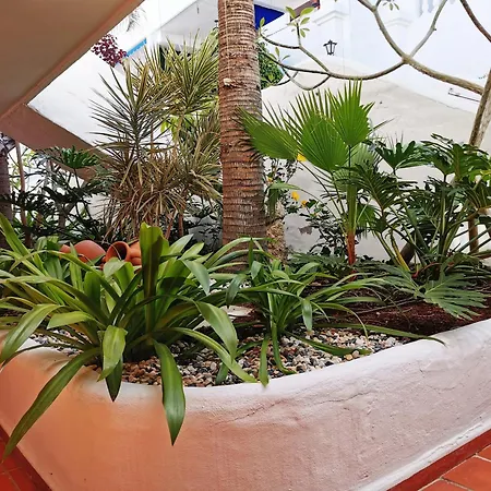 Royal Panorama Penthouse アパート *