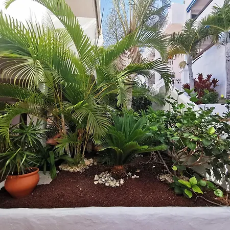 Royal Panorama Penthouse アパート *