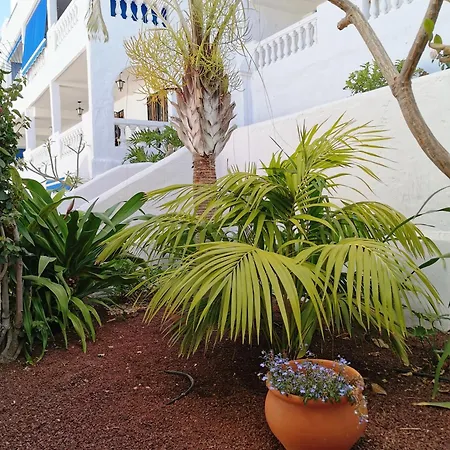 Royal Panorama Penthouse * アロナ