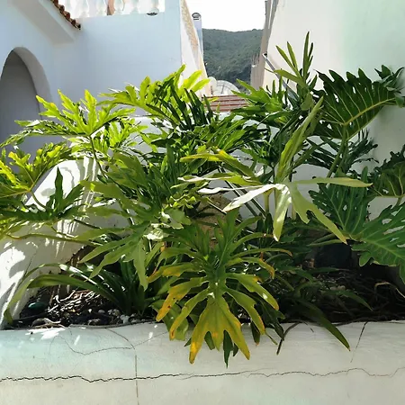 Appartement Royal Panorama Penthouse Arona (Tenerife)